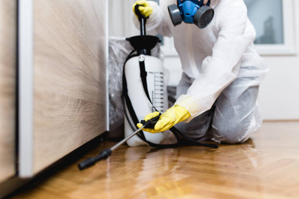 Best Best Pest Control Companies  in Jamestown, NY