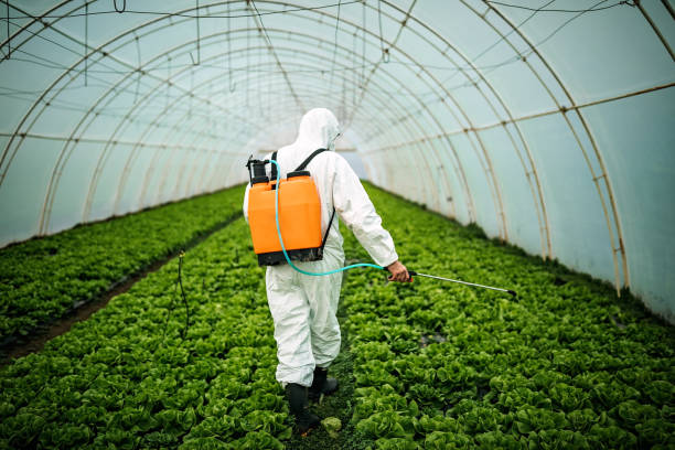 Best Affordable Pest Control Services  in Jamestown, NY