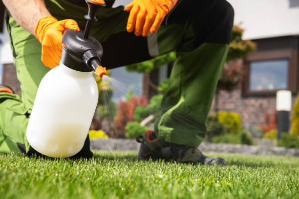 Best Best Pest Control Companies  in Jamestown, NY