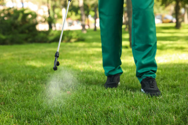 Best Commercial Pest Control Services  in Jamestown, NY