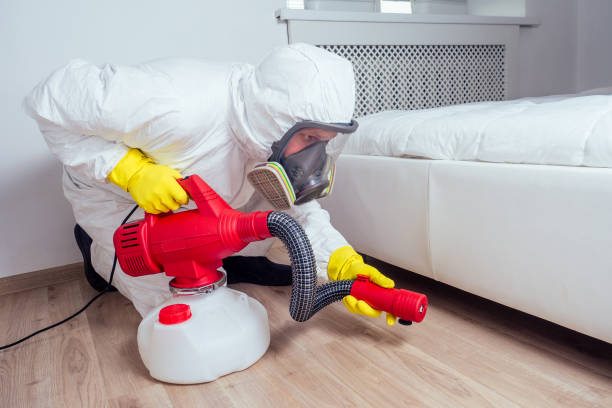 Best Termite Control Services  in Jamestown, NY