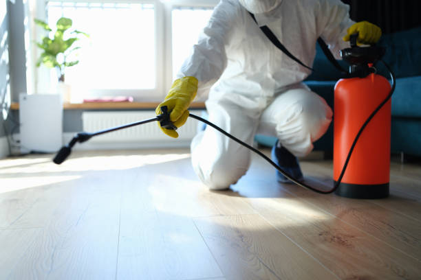 Trusted Jamestown, NY Pest Control Experts